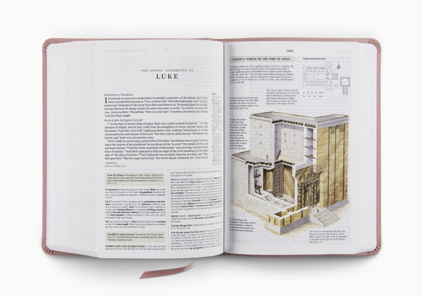 ESV STUDY BIBLE, PS TT, BLUSH ROSE