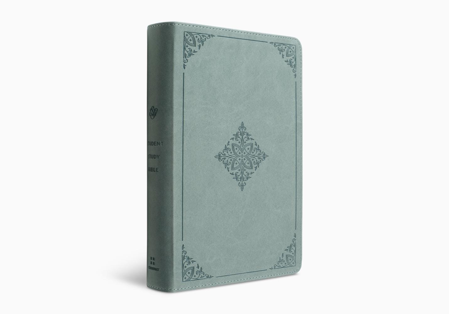 ESV STUDENT STUDY BIBLE (TT, PARIS SKY)
