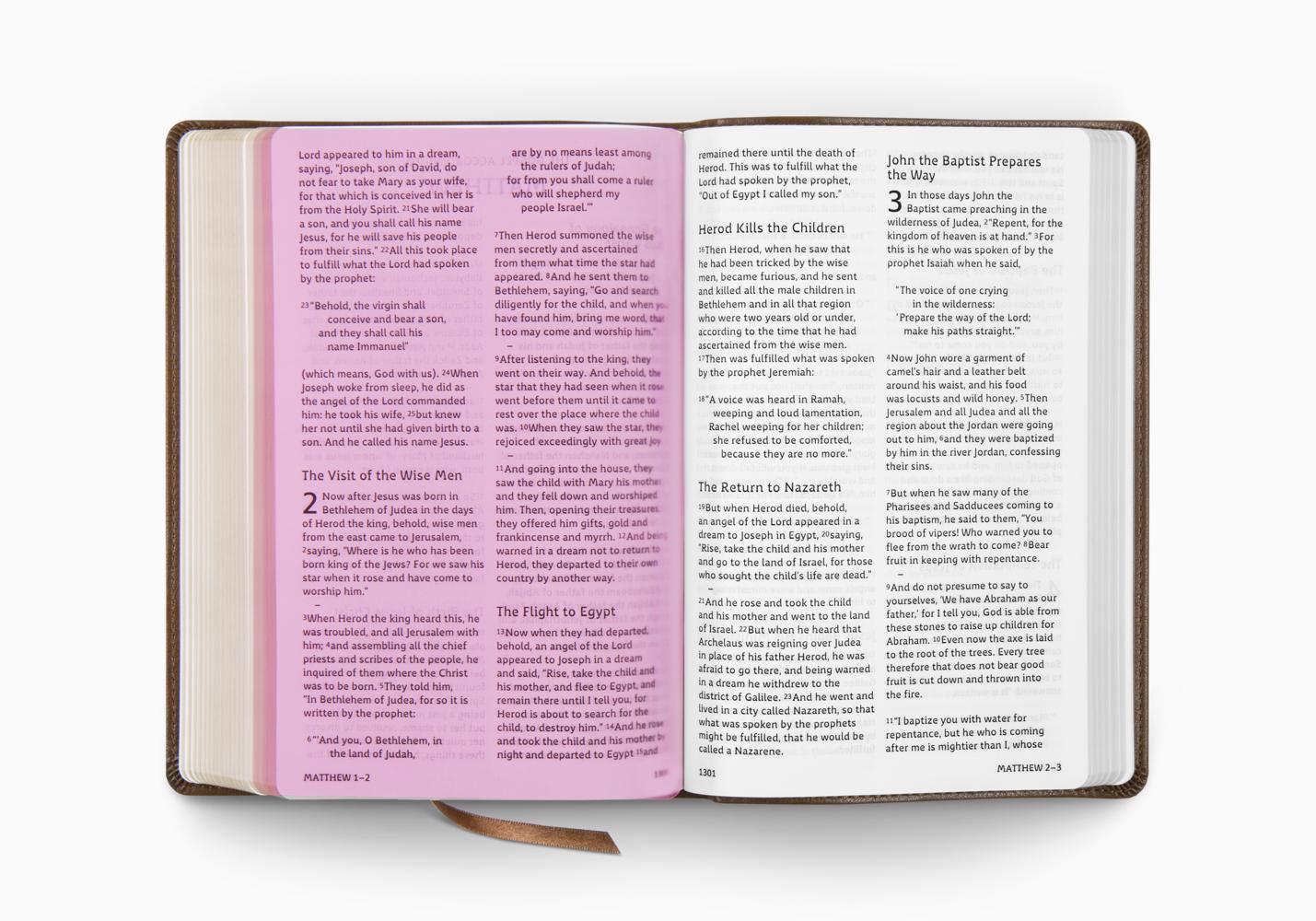 ESV HOLY BIBLE: DYSLEXIA-FRIENDLY ED. TT