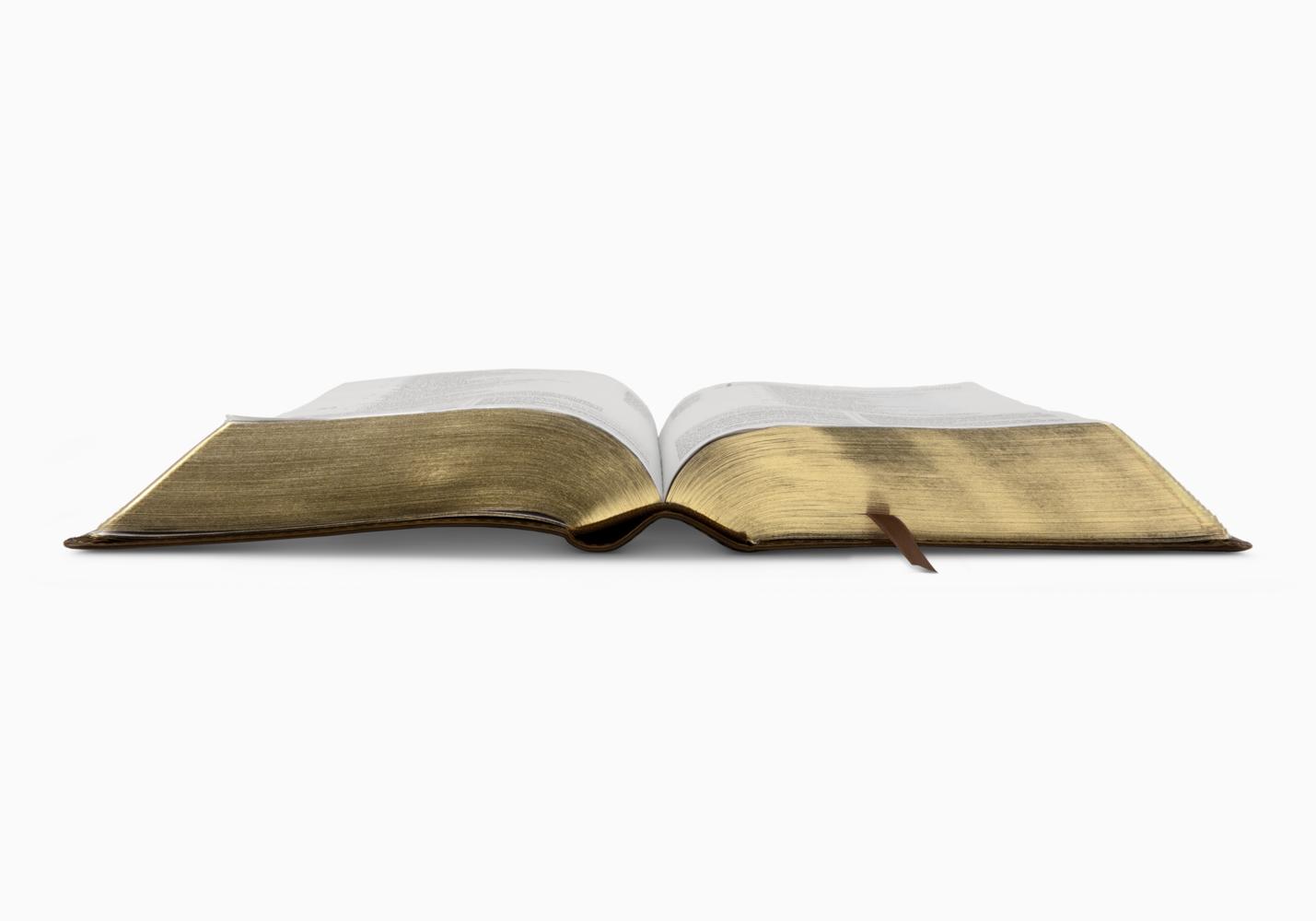 ESV STUDY BIBLE PERSONAL SZ TT BROWN