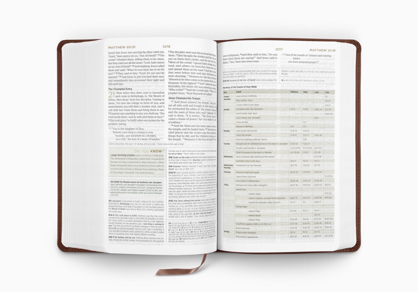 ESV STUDENT STUDY BIBLE (TT, CHESTNUT)