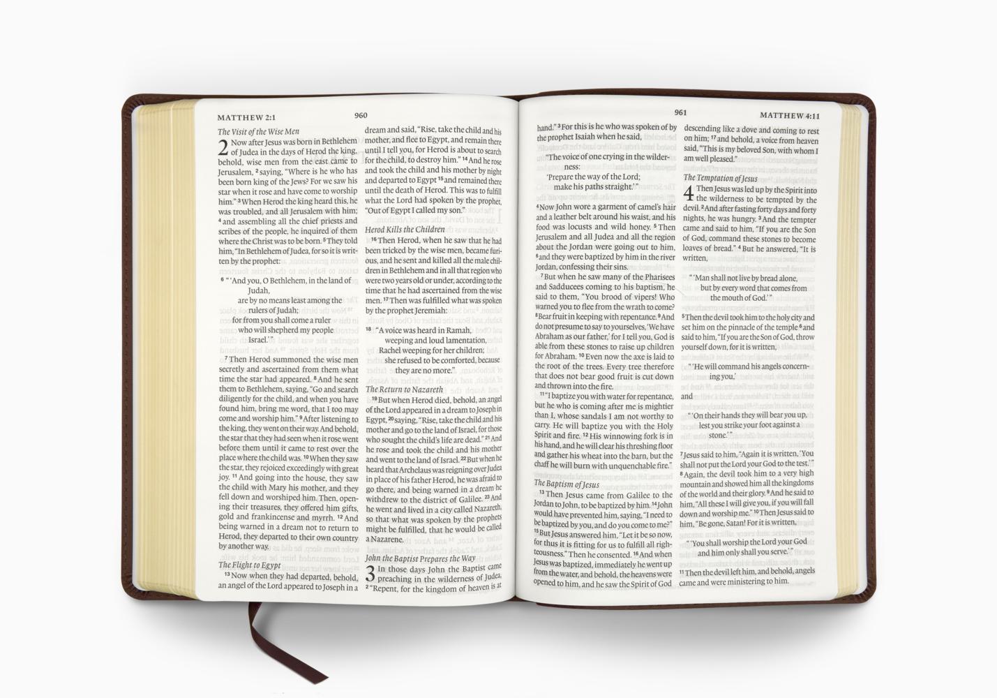 ESV LARGE PRINT BIBLE TT, DEEP BROWN