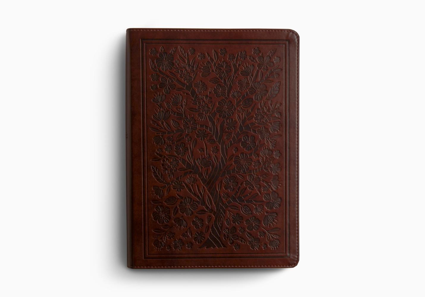 ESV WOMEN'S STUDY BIBLE (TT, CHES, ALMON