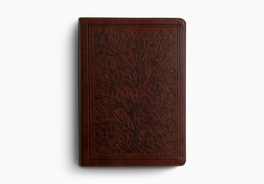 ESV WOMEN'S STUDY BIBLE (TT, CHES, ALMON