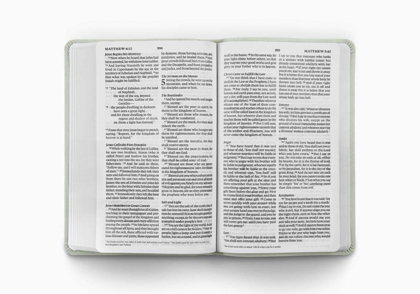 ESV LARGE PRINT VALUE THINLINE BIBLE