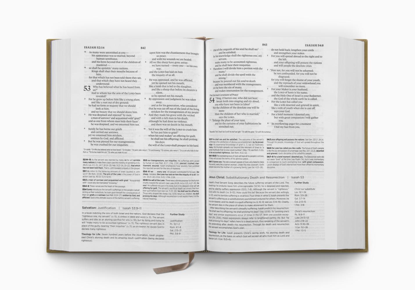 ESV SYSTEMATIC THEOLOGY SB (C/B, OCHRE)