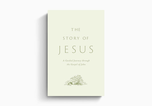 STORY OF JESUS, THE (PB)