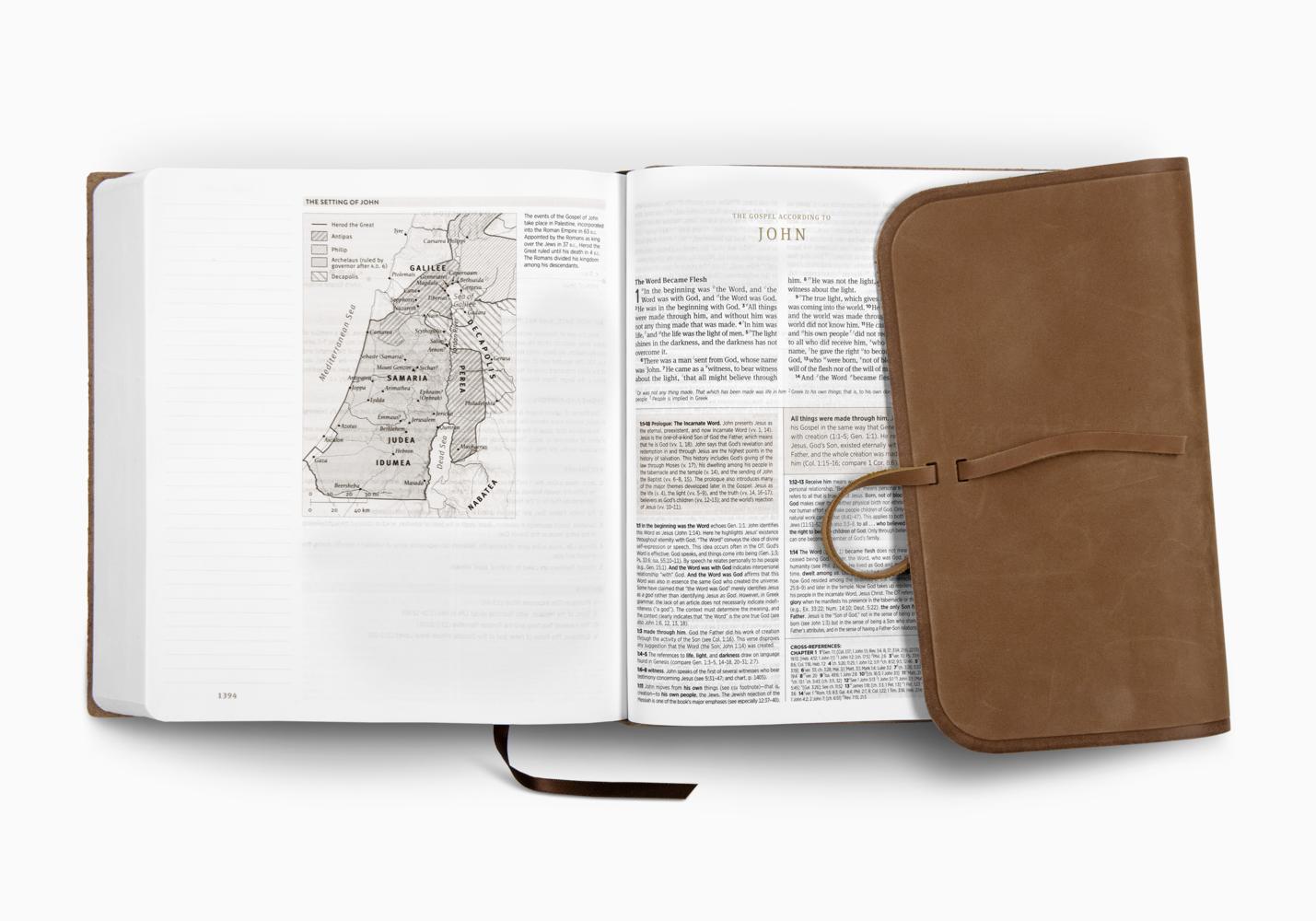 ESV JOURNALING STUDY BIBLE LTHR, BROWN