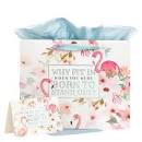 CAG GBA250 GIFT BAG 3 IN 1 SET LG LS W CARD WHY FI