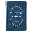 CAG GB119 LL SHELTER FROM THE STORM