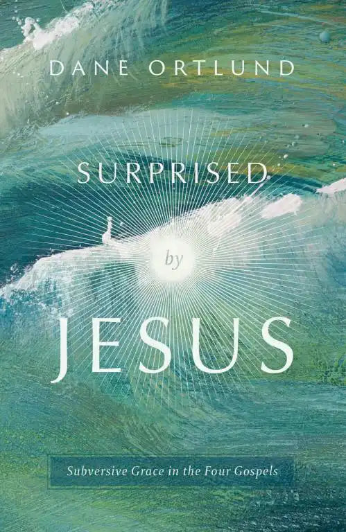 FTT SURPRISED BY JESUS - SUBVERSIVE GRACE IN THE FOUR GOSPELS