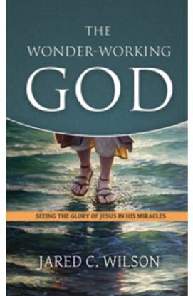 WONDER0WORKING GOD SEEING THE GLORY OF JESUS IND ED