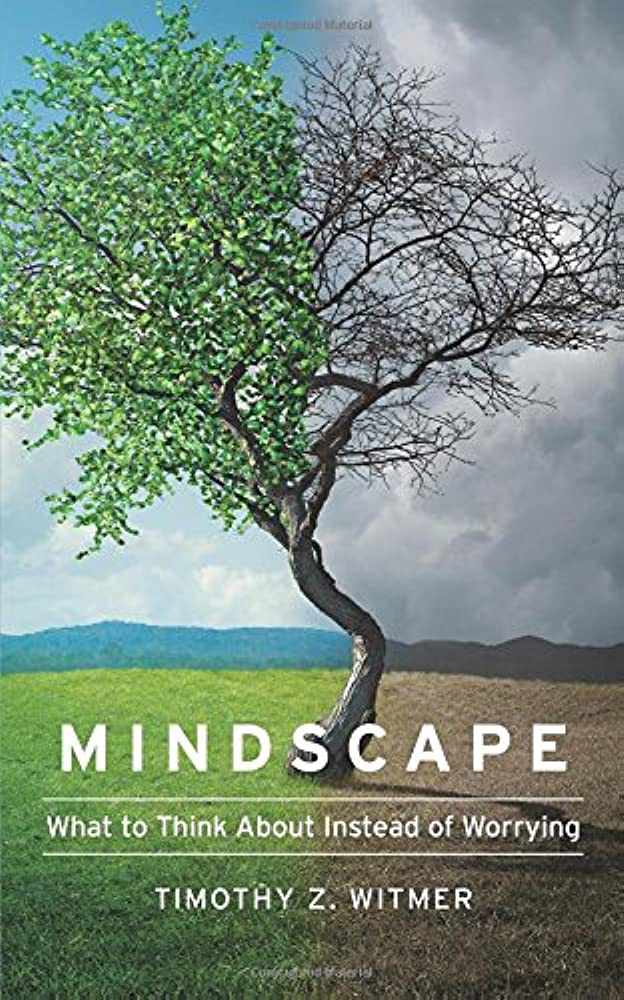 MINDSCAPE WHAT TO THINK ABOUT