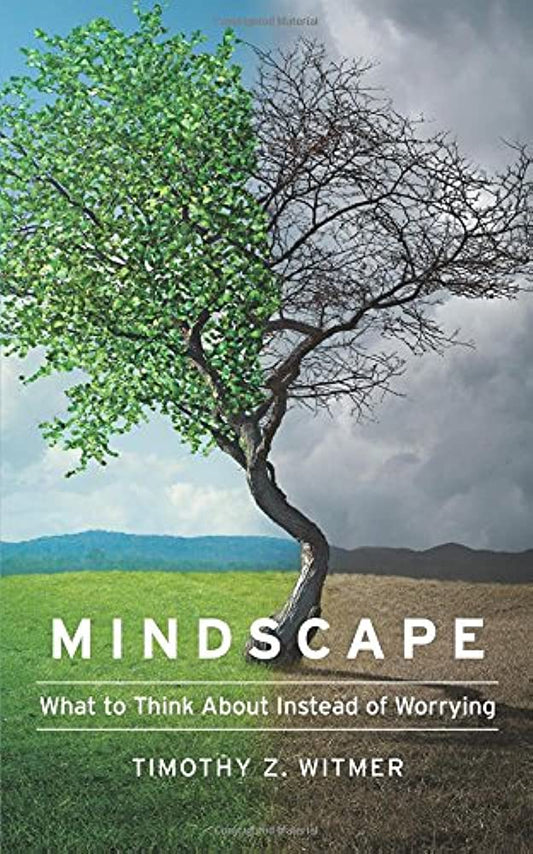 MINDSCAPE WHAT TO THINK ABOUT